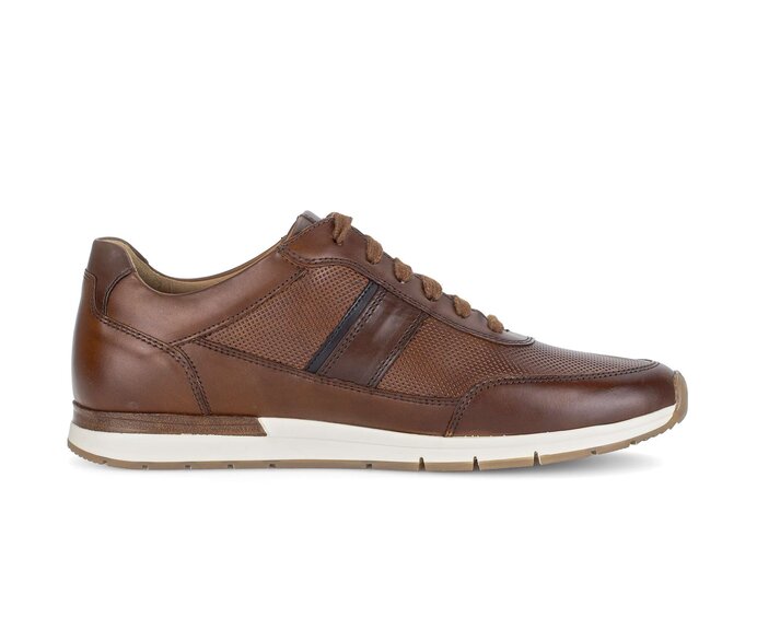 Pius Gabor Sneaker Low Braun - Glattleder