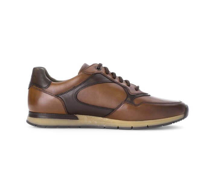 Pius Gabor Sneaker Low Braun - Glattleder