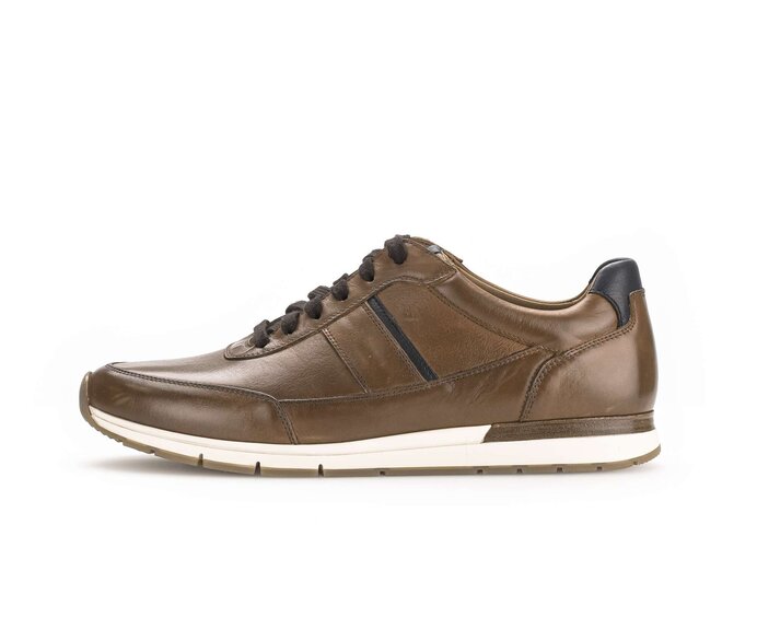 Pius Gabor Sneaker Low Braun - Glattleder