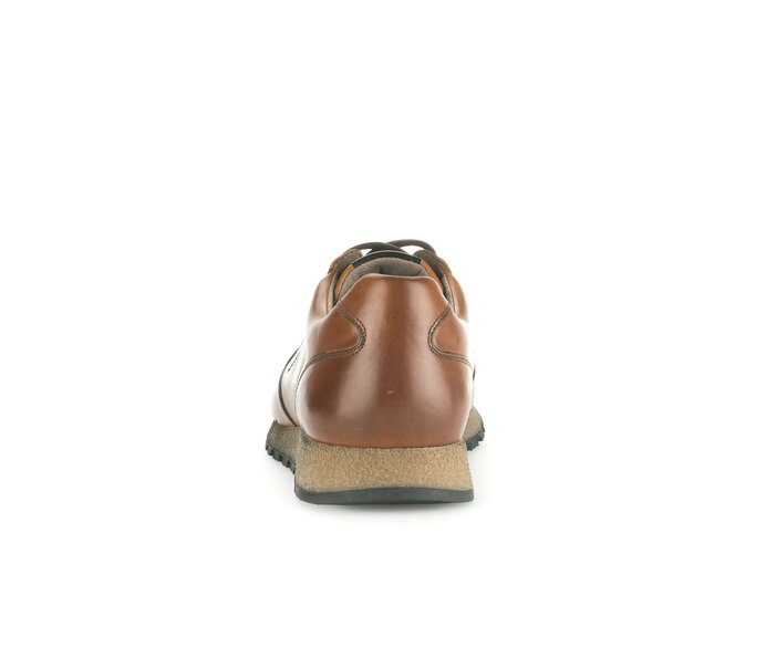 Pius Gabor Sneaker Low Braun - Glattleder