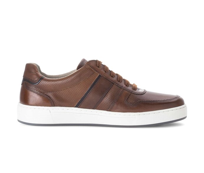 Pius Gabor Sneaker Low Braun - Glattleder