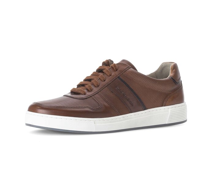 Pius Gabor Sneaker Low Braun - Glattleder