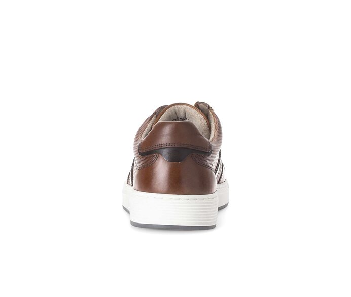 Pius Gabor Sneaker Low Braun - Glattleder