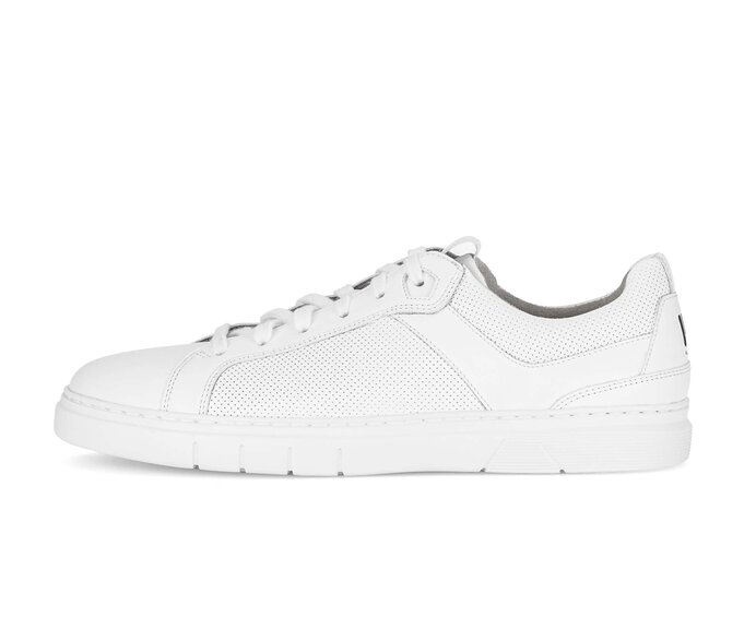 Pius Gabor Sneaker Low Weiß - Glattleder