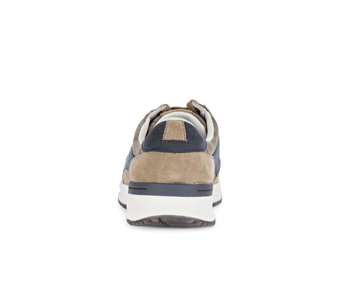 Pius Gabor Sneaker Low Beige - Materialmix Leder/Textil